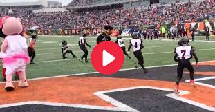 Browse college football mascots pictures, photos, images, gifs, and videos on photobucket. Cincinnati Mascot Runs Over Little Kids During Halftime Game Video Fanbuzz
