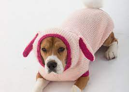 Check spelling or type a new query. 12 Dog Sweaters And Other Knitting Patterns For Pups