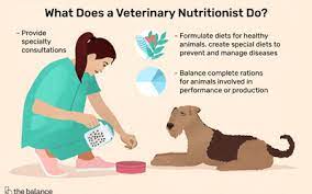 Veterinary assistant salaries by state. Veterinary Assistant Job Description Salary Skills More