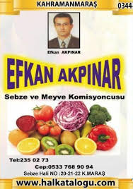 Efkan Akpinar Komisyon Evi Hal Katalogu