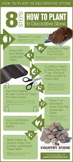 How To Plant In Decorative Stone Stone Decor Landscaping With Rocks Planting Flowers