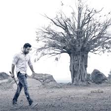 Aravinda Sametha Veera Raghava Full Movie In Telugu Hd Free Download Pin By Mabu Basha On Jai Ntr In 2020 Telugu Movies Download Download Movies Telugu Movies