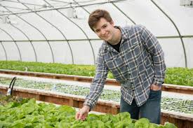 This Farmer S Childhood Passion Grew Into One Of The Largest Aquaponics Farms In The Country Modern Farmer