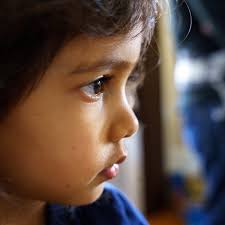 Sample gallery: Sigma 24-70mm F2.8 DG DN for Sony E-mount: Digital  Photography Review