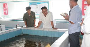 It was first mentioned after cnn's chief national security correspondent jim. North Korea Salmon Farming S Next Superpower The Fish Site