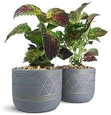 Golem 2 Piece Ceramic Planter 5 5 Quot Indoor Plant Pot Modern Succulent Cactus Aloe Snake Plant Containers W Indoor Plant Pots Container Plants Indoor Plants