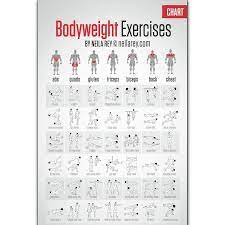 This muscular system chart shows in detail the deep layers of muscle on the front of your body. Fx756 Hot New Free Bodyweight Workout Fitness Muscle Home Exercise Pose Chart Poster Art Silk Canvas Home Room Wall Print Decor Painting Calligraphy Aliexpress