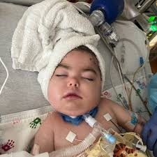 Blog 1 — Love for Baby Sloan