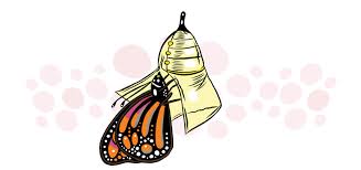 Before a major health issue spirals int. From Radical Activist To Senate Obstructionist The Metamorphosis Of Kyrsten Sinema Mother Jones