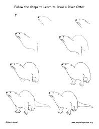 Otter Drawing Lesson Otter Drawing Drawing Tutorial Easy Drawing Lessons