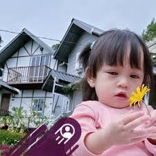 Gais sini pun siokkk 'Binalaan Garden'!😍, Paling ngam ni bawa family sni  relax2 sambil mandi manda di kolam! 🥰 Mcm2 aktiviti blh buat sni,sudala  lawa, bcamping pun buli! lepas tu mandi kolam