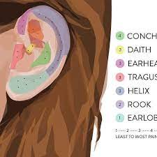 Pin Auf Piercings Ear