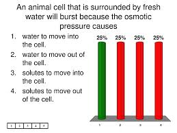 Animal cells are surrounded by. Ppt Who Was One Of The First People To Identify And See Cork Cells Powerpoint Presentation Id 5656232