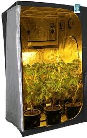 Hydroponic Grow Tent Kits For Year Round Harvesting
