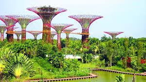 Compare prices for flowers for hair clips. Hong Kong Singapore Travel Bubble 15 Things To Do In Singapore