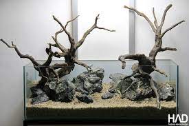 Hamsa Aquarium Design Desain Akuarium Hamsa