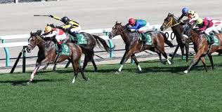 Apr 25, 2021 · no.1競馬サイト「netkeiba.com」がフローラステークス(g2).2021年4月25日東京の競馬予想・結果・速報・日程・オッズ・出馬表・出走予定馬・払戻・注目馬・見どころ・調教・映像・有力馬の競馬最新情報をお届け！ Lnbbunhd18bbtm