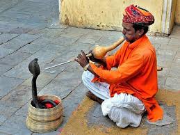 Image result for snake charming indian