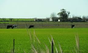 La provincia de santa fe anunció que este viernes se completó la vacunación de los inscriptos mayores de 18 años, con al menos una dosis en 123 localidades de la provincia de santa fe. Arraigo Rural Firman Acuerdo Para Repoblar Cinco Localidades Del Sur De Santa Fe Agrofy News