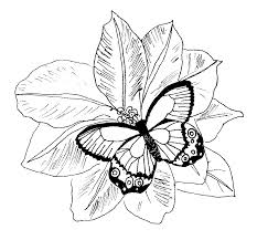 In that post, you can find many simple coloring pages of flowers meant for children. Free Adult Coloring Pages Flowers To Print For Kids Download Print Coloring Library