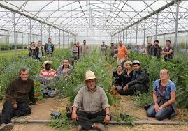 Les jardins de cocagne défendent l'idée de la souveraineté alimentaire, d'une agriculture viable, saine, écologique et de proximité. Solembio Jardin De Cocagne C Du Centre