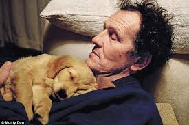 My Golden Wonders Monty Don S Dogs Have Become The Real Tv Show Stars Monty Don Monty Don Longmeadow Dogs
