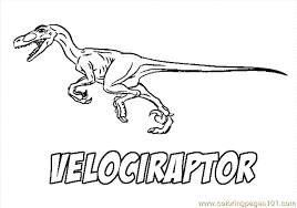 Velociraptor was a small predator, resembling a bird. Velociraptor Coloring Page For Kids Free Dinosaur Printable Coloring Pages Online For Kids Coloringpages101 Com Coloring Pages For Kids