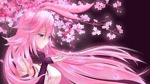 Download wallpapers yae sakura 4k female soldier manga houkai. Yae Sakura Benghuai Xueyuan 1080p 2k 4k 5k Hd Wallpapers Free Download Wallpaper Flare