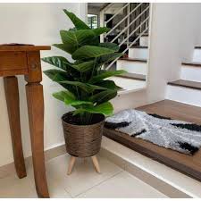 We did not find results for: Hot Item Hiasan Pasu Berkaki Untuk Pelbagai Jenis Pokok Hiasan Kediaman Dan Pejabat Shopee Malaysia