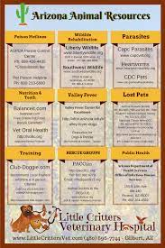 Pet Owner Resources From Little Critters Vet Vet Medicine Animal Infographic Losing A Pet