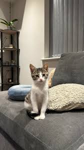 Show Me Your Ugly Sleepers