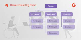 What Is An Organizational Chart Examples And Free Template