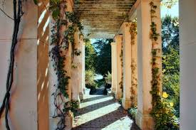 Check spelling or type a new query. 10 Amazing Pergola Ideas For Your Backyard Diy Projects