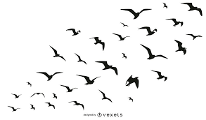Sketch Birds Flying In The Sky Drawing Huge Set Of Birds Flying Arranged As A Flock Each Silhouette Is Isolated And Can Be Used As A Whole Or As Individual Birds Birds Birds Flying Bird Stencil