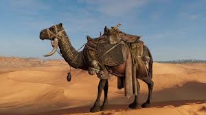 And that wraps up our how much can you carry 5e guide. Pin On Writing Ideas