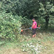 Arbeiten Im Garten Garten Gartengestaltung Gartentraume Gartenbau Gartner Gartenzeit Ernten Erntezeit Grun Outdoor Power Equipment Outdoor Trimmers
