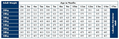 royal canin medium junior feeding chart best picture of