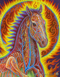 We did not find results for: 44 Tool Alex Grey Artwork Ideas In 2021 Alex Grey Grey Artwork Alex Gray Art