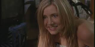 Scrubs: 10 Ways Elliot Got Worse & Worse