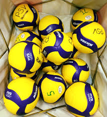 This report shows links that we found on other domains than the index page. Psv Hannover Volleyball Home Facebook