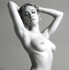 Chloe Sevigny Tits, Pussy and Ass Porn Pictures, XXX Photos, Sex Images  3917009 - PICTOA