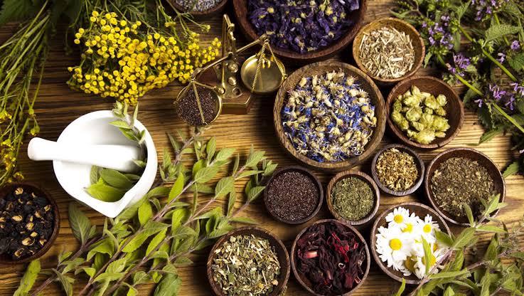 Herbal Support