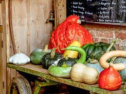 8 Delicious Types Of Squash