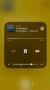 To The Bone Pamungkas Panduan Mendalam Oleh Laaa