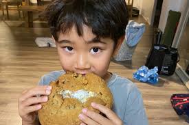 Fundraiser for Jina Uyeda by Maris Naks Kamada : Liam's AVM fight