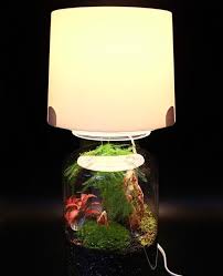 Terrarium Lamp An Easy Hack For Your Miniature Garden Ikea Hackers Wall Terrarium Light Bulb Terrarium Glass Terrarium