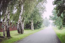 endlose strasse in texas gross oesingen niedersachsen texas niedersachen niedersachsen