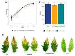 Mutation of a Single Core Gene, tssM, of Type VI Secretion System of  Xanthomonas perforans Influences Virulence, Epiphytic Survival, and  Transmission During Pathogenesis