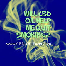 Over time, this info can help paint a picture of how cbd affects you. Will Cbd Oil Help Me Quit Smoking Cbd Oil Facts