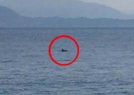 Προγνώσεις καιρού για όλη την ελλάδα. Aigio Kolympoysan Kai 3afnika Eidan Sth 8alassa Ayth Thn Eikona Deite Fwto Kai Binteo Apo Thn Paralia